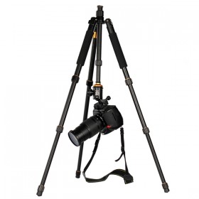 QZSD Lightweight era Q-999S travel light tripod portable professional SLR camera digital tripod PTZ