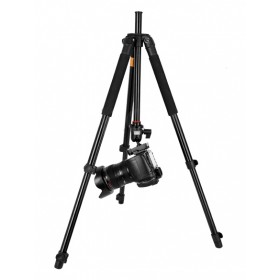  QZSD Q308 lightly armed era camera tripod single micro Canon Nikon SLR photography 