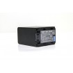 Viloso NP-FH100 High Capactiy Camcorder Battery for Sony Camcorders