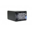 Viloso Sony NP-FV100 FV100 Battery Lithium-Ion for NEX-VG30 NEX-VG900