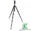 Weifeng WF-591BT Professional Ballhead Travel Tripod  