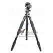 Fancier Professional Tripod & Monopod Kit WT-6614A w/ Bag